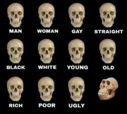 Types of skull Meme Template