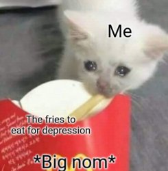 Happy fries Meme Template