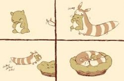 Cute Furret Comic x4 squares Meme Template