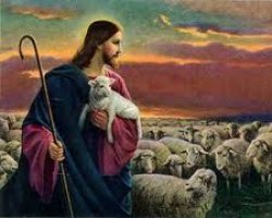 Jesus Christ Sheep Flock Meme Template