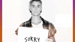 Justin Bieber sorry Meme Template