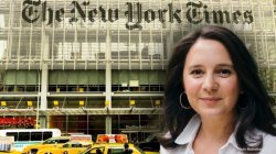 bari weiss new york times Meme Template