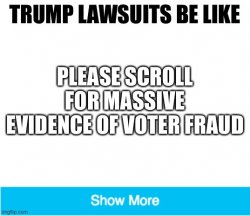 Massive voter fraud Meme Template