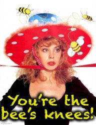 Kylie you’re the bee’s knees Meme Template
