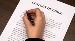 Custody of Child Meme Template