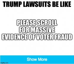 Please scroll voter fraud Meme Template
