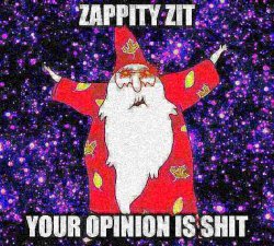 zappity zit your opinion is shit Meme Template