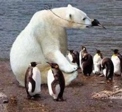 Polar bear is in disguise Meme Template