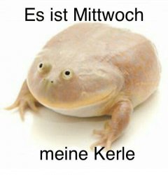 Es ist Mittwoch meine Kerle Meme Template