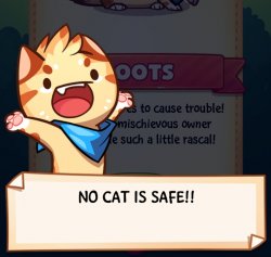 No cat is safe!!! Meme Template