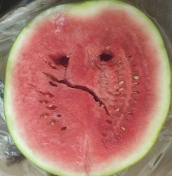 Grouchy Melon Meme Template