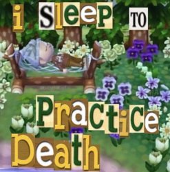 I sleep to practise death Meme Template