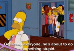 Homer stupid Meme Template