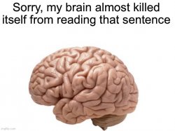 Sorry, my brain almost killed itself from reading that sentence Meme Template
