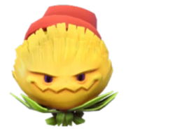 Wildflower Meme Template
