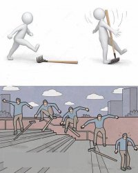 person stepping on rake Meme Template