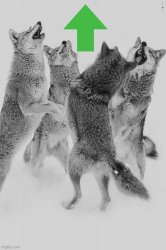 Wolves Upvote Meme Template