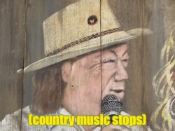 [ country music stops] Meme Template