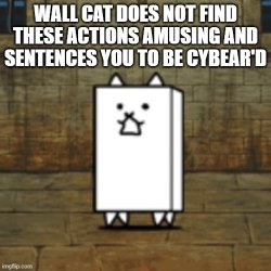 Wall Cat does not find these actions amusing Meme Template