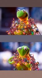 kermit and christmas lights Meme Template