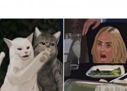 Cat yelling at woman Meme Template