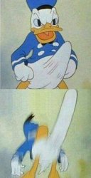 Donald Duck boner Meme Template