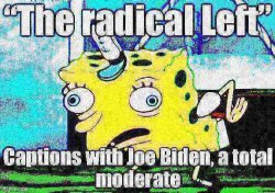 Joe Biden the radical left Meme Template