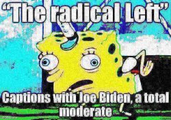 Joe Biden The radical Left 2 Meme Template