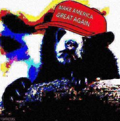 MAGA Confession bear HD deep-fried 3 Meme Template