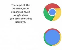 The Pupil Of The Human Eye Can Expand As Much As 55% When You Meme Template