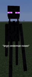 Angry Enderman noises Meme Template