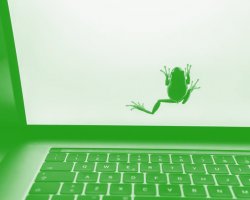 Gab frog laptop screen Meme Template