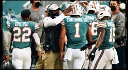 Miami Dolphins Meme Template