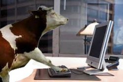 cow computer Meme Template