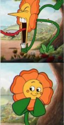 Bipolar flower Meme Template