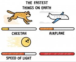 Fastest things on earth Meme Template