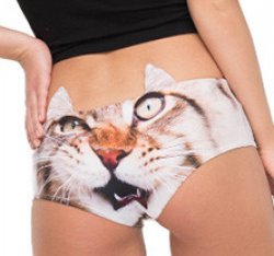 Cat panties Meme Template