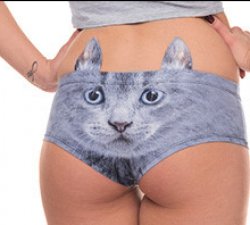 Cat panties Meme Template