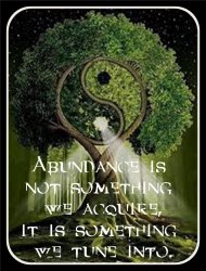 Abundance is not something we acquire Meme Template