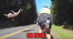 Oh Deer! Meme Template