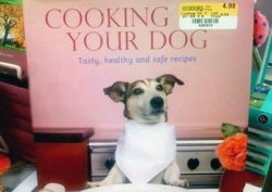 Cooking your dog! Meme Template