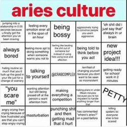 Aries stuff Meme Template