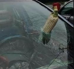 corn and windshield Meme Template