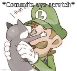 Luigi commits eye scratch Meme Template