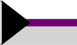 Demisexual Flag Meme Template