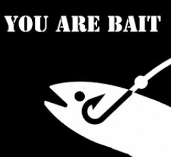 You are bait Meme Template