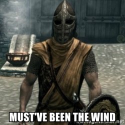 Must've been the wind Meme Template