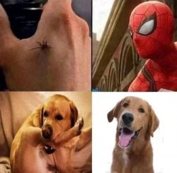 HAHAHA Spiderman bite meme Meme Template