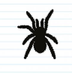 Spoder Meme Template