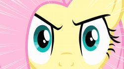 Fluttershy's Stare (MLP) Meme Template